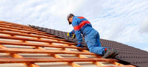 Best Asphalt Shingle Roofing  in Minnetrista, MN