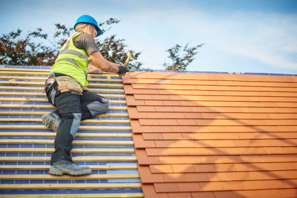 Best Skylight Installation and Repair  in Minnetrista, MN